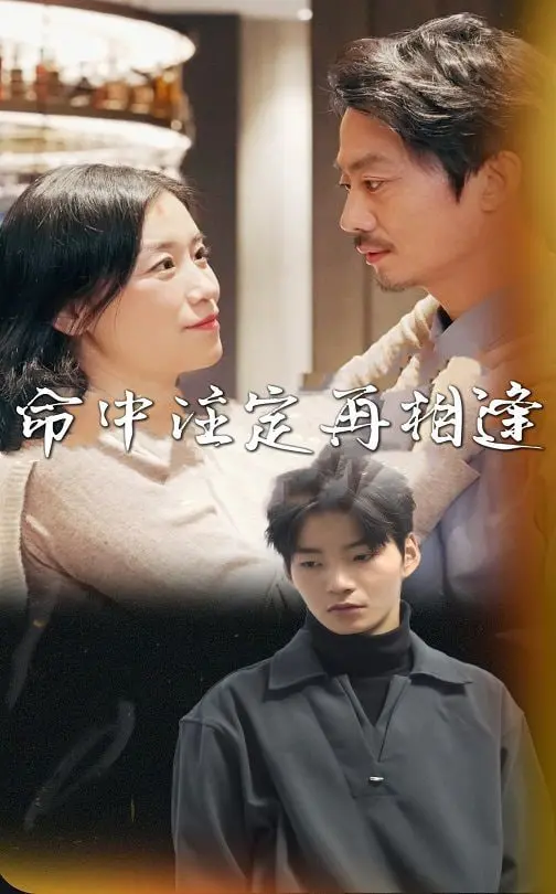 《命中注定再相逢》：跨越时空的爱情奇遇，一场关于选择与重生的浪漫探讨