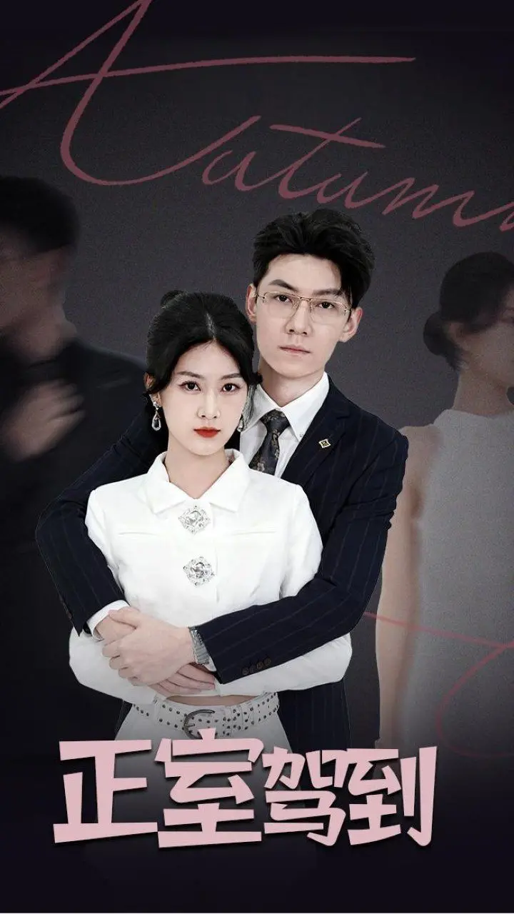 《正室驾到》：爆笑反击，看正室如何智斗小三，捍卫爱情与婚姻！年度最佳喜剧不容错过！