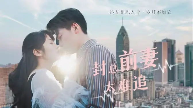 《封总前妻太难追》：霸道总裁爱上我？不！是追妻火葬场！甜虐升级，狗粮管饱！